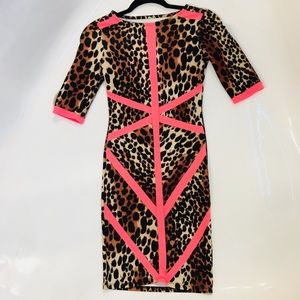Leopard & Neon Pink Dress